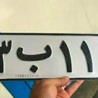 پلاک مفعودی