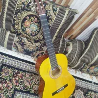 گیتار|گیتار، بیس، امپلیفایر|یاسوج, |دیوار