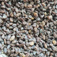 فروش انواع کشمش و شیره انگور