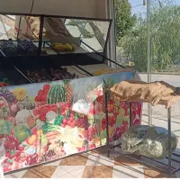 ۳ تامیز میوه فروش