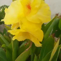 راهنمایی ازدواج