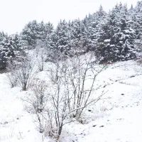 مشاوره