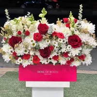 باکس گل نازنین کد ۱۸۵۹ گلاریس
