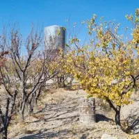 باغچه|فروش زمین و ملک کلنگی|رباط‌کریم, انجم آباد|دیوار