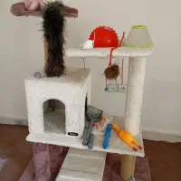 لوازم نگهداری حیوانات خانگی ( گربه )|لوازم جانبی حیوانات|تهران, قیطریه|دیوار