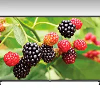 تلویزیون۶۵ اینچ دوو مدل ججوDSL-65SU1880/1870|تلویزیون و پروژکتور|رشت, گلسار|دیوار