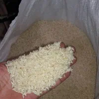 فروش برنج کاظمی