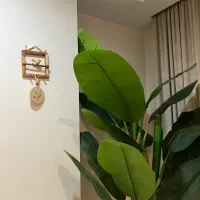 آپارتمان نوساز تک واحدی