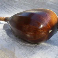 تنبور حرفه ای کاسه تخم مرغی هستی