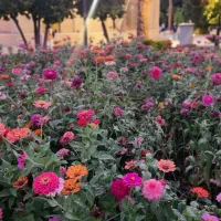 پرستار کودک و کمک کار در منزل