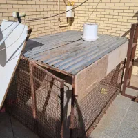 قفس پرنده یاسگ|لوازم جانبی حیوانات|رفسنجان, |دیوار