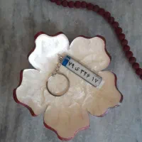 جاسوییچی پلاک و انواع جاسوییچی رزینی