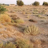 زمین چاه پیر