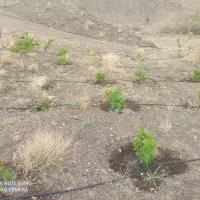 باغ روبروی هویزار ۱۸۰۰ متر