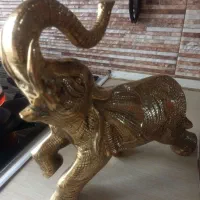 فیل هندی سنگین وزن