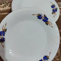 سه دست چینی|ظروف سرو و پذیرایی|ساوه, |دیوار