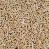 جو محلی اعلا