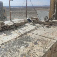 کفتر پرنده پشن