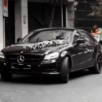 کارشناسی تخصصی خودرو،کارشناس،تست رنگ و فنی