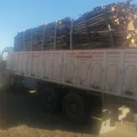 خرید چوب|خدمات باغبانی و درختکاری|سنندج, |دیوار