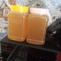 عسل کوهی طبیعی به شرط