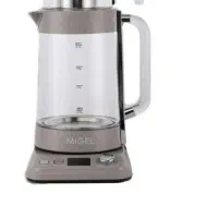 چایساز میگل