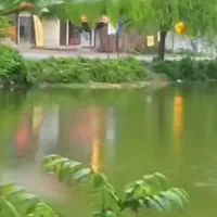 تور شمال و امامزاده داوود