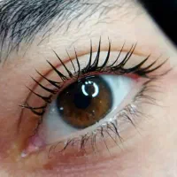 تخفیف آموزشی|خدمات آموزشی|ارومیه, |دیوار