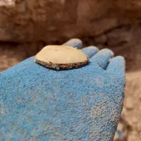 شیره انغوزه کوهی شیرین
