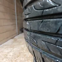 لاستیک گلد استون