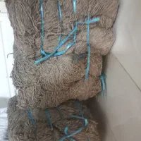ریشه|گلیم، جاجیم، گبه|شیراز, دارالرحمه|دیوار