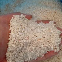 برنج نیم دونه هاشمی ۲۰کیلو۲۸۰۰|خوردنی و آشامیدنی|رشت, یخسازی|دیوار