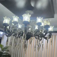 2 عدد لوستر  8 شاخه