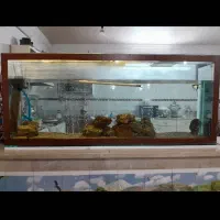 آکواریوم بزرگ