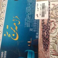 فرش ۶ متری آکبند، لی رز فیلی|فرش|قم, شاه ابراهیم|دیوار