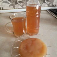 قارچ و نوشیدنی کامبوجا خانگی|خوردنی و آشامیدنی|شیراز, گویم|دیوار
