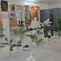 فروش دکور