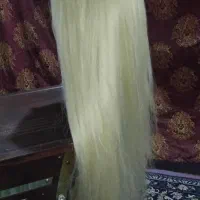 یک عدد کله مانکن نو