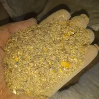 زیر دانخوری پر ذرت مخصوص داشتی و پلواری  پلواری