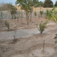 باغ 500متری|فروش دفتر صنعتی، کشاورزی، تجاری|مشهد, شیرحصار|دیوار