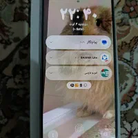 سامسونگ گلکسی A53 5G با حافظهٔ ۲۵۶ گیگابایت|موبایل|تهران, وردآورد|دیوار