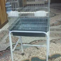 قفس کاسکو با پایه