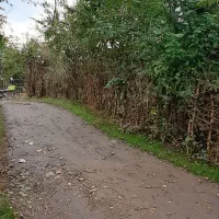 باغ کیوی|فروش زمین و ملک کلنگی|حویق, |دیوار