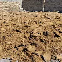 فروش کود گوسفندی