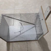 تله گربه