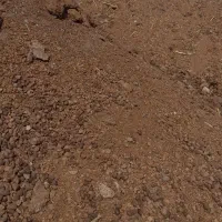 کود دامی گوسفندی  گاوی ورمی تضمینی|لوازم جانبی حیوانات|رضویه, |دیوار