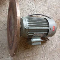 تخت پوست نجاری