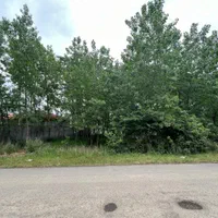 ۷۰۰ متر زمین سیاه اسطلخ برِ جاده|فروش زمین و ملک کلنگی|رشت, سیا اسطلخ|دیوار