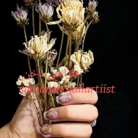 تخفیفات ویژه کاشت ناخن و رنگ مو|خدمات آرایشگری و زیبایی|کرمانشاه, |دیوار