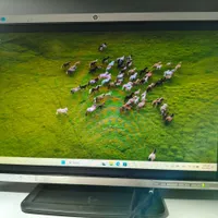 مانیتور HP